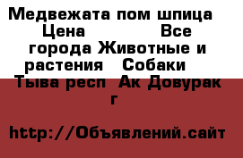 Медвежата пом шпица › Цена ­ 40 000 - Все города Животные и растения » Собаки   . Тыва респ.,Ак-Довурак г.